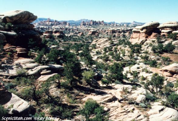 Canyonlands - Needles District