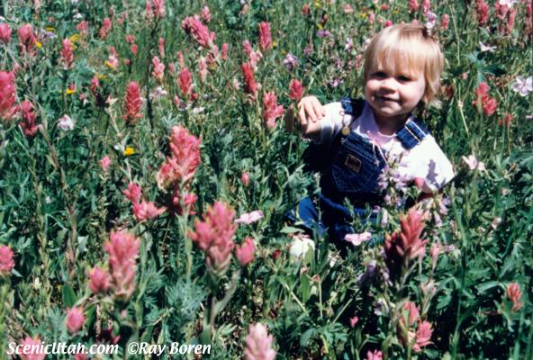 Little Cottonwood Canyon - Little Girl in Albion Basin