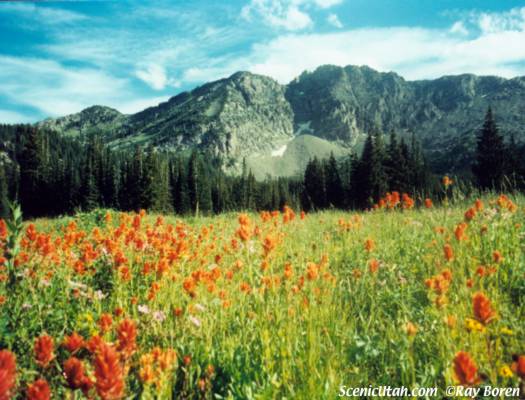 Albion Basin - Devil's Castle