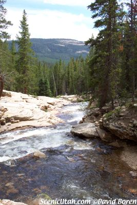 Upper Provo River