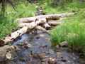 Mountain Stream Near Mirror Lake
