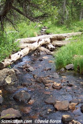 Creek near Mirror Lake