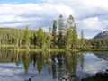 Trees reflected in Mirror Lake