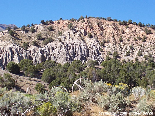 Salt Creek Canyon