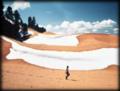 Coral Pink Sand Dunes