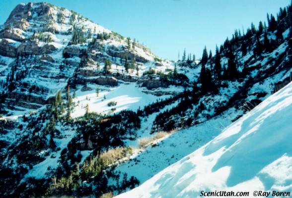 Mt. Timpanogos - Primrose Cirque