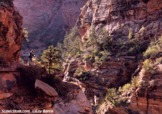 Zion - Zion Canyon Overlook Trail