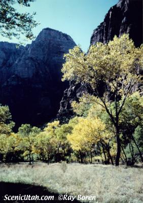 Zion National Park