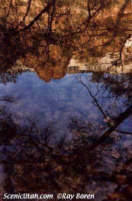 Zion - Reflection