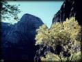 Zion National Park