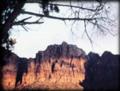 Watchman